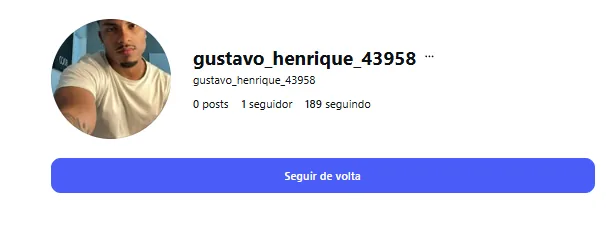 Exemplo visual de perfil de seguidor brasileiro básico